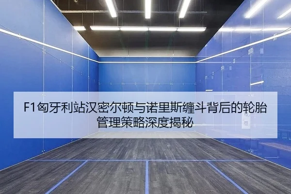F1匈牙利站汉密尔顿与诺里斯缠斗背后的轮胎管理策略深度揭秘